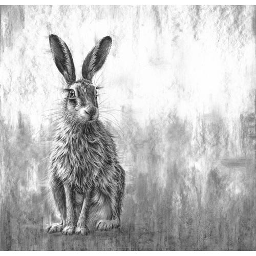 Nolon Stacey has gone on to create a large portfolio of work of both domestic and wild animals.