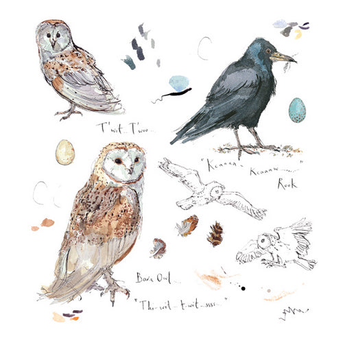 Madeleine Floyd - Barn Owl and Rook