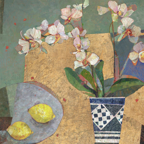 Sally Anne Fitter - Orchid