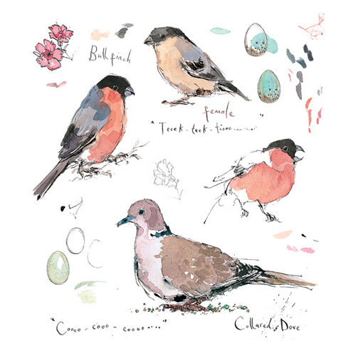 Madeleine Floyd - Bullfinch and Collared Dove