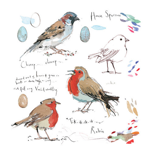 Madeleine Floyd - Robin and House Sparrow