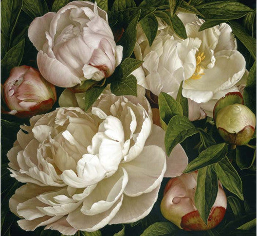 Mia Tarney - Peony Gardenia (Limited Edition Print)