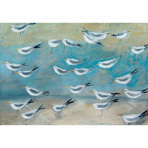 Hannah Hann - Terns Gathering